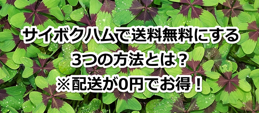 �T�C�{�N�n���ő��������ɂ���3�̕��@�Ƃ́H���z����0�~�ł����I